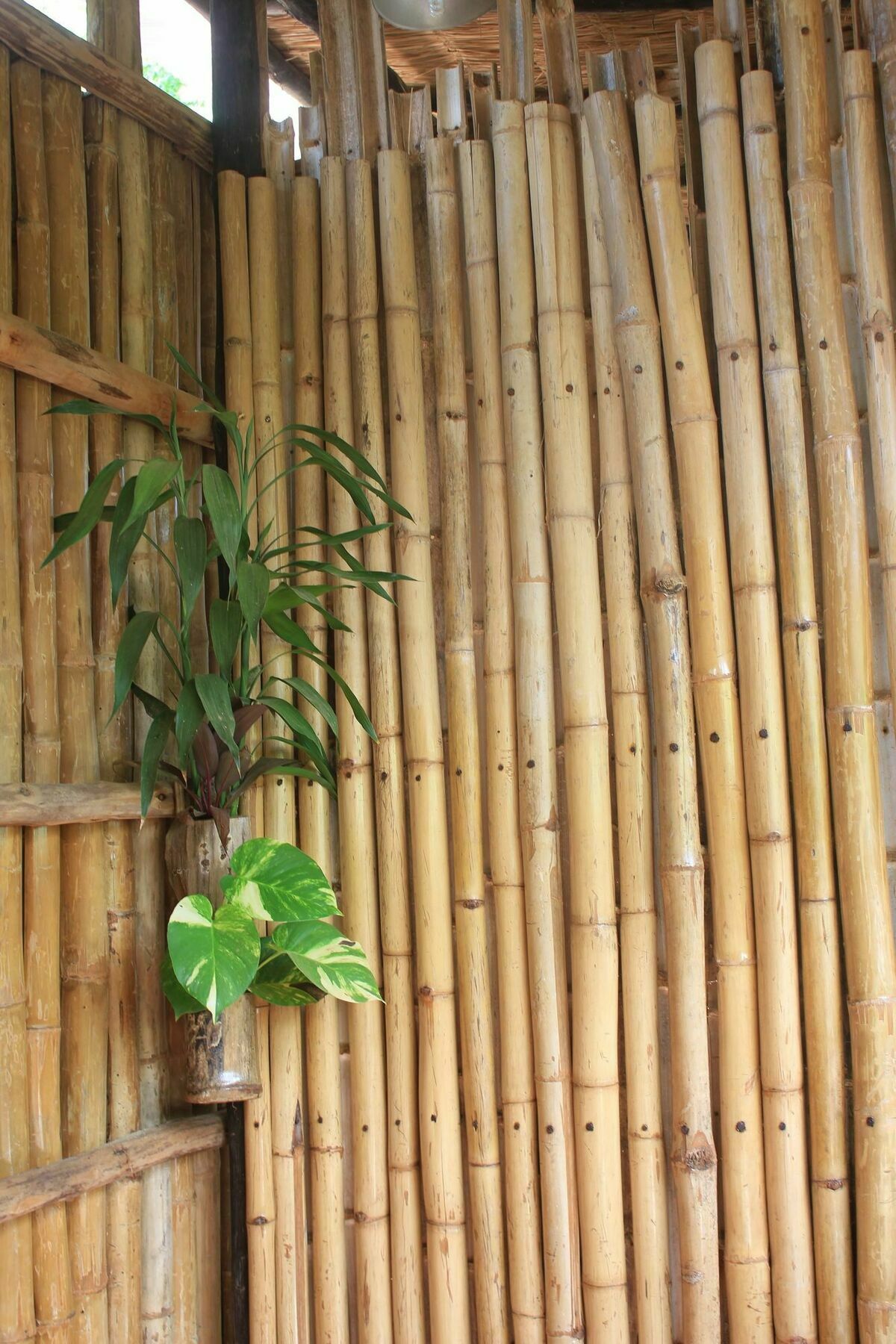 Battambang Dream Bungalows Dış mekan fotoğraf