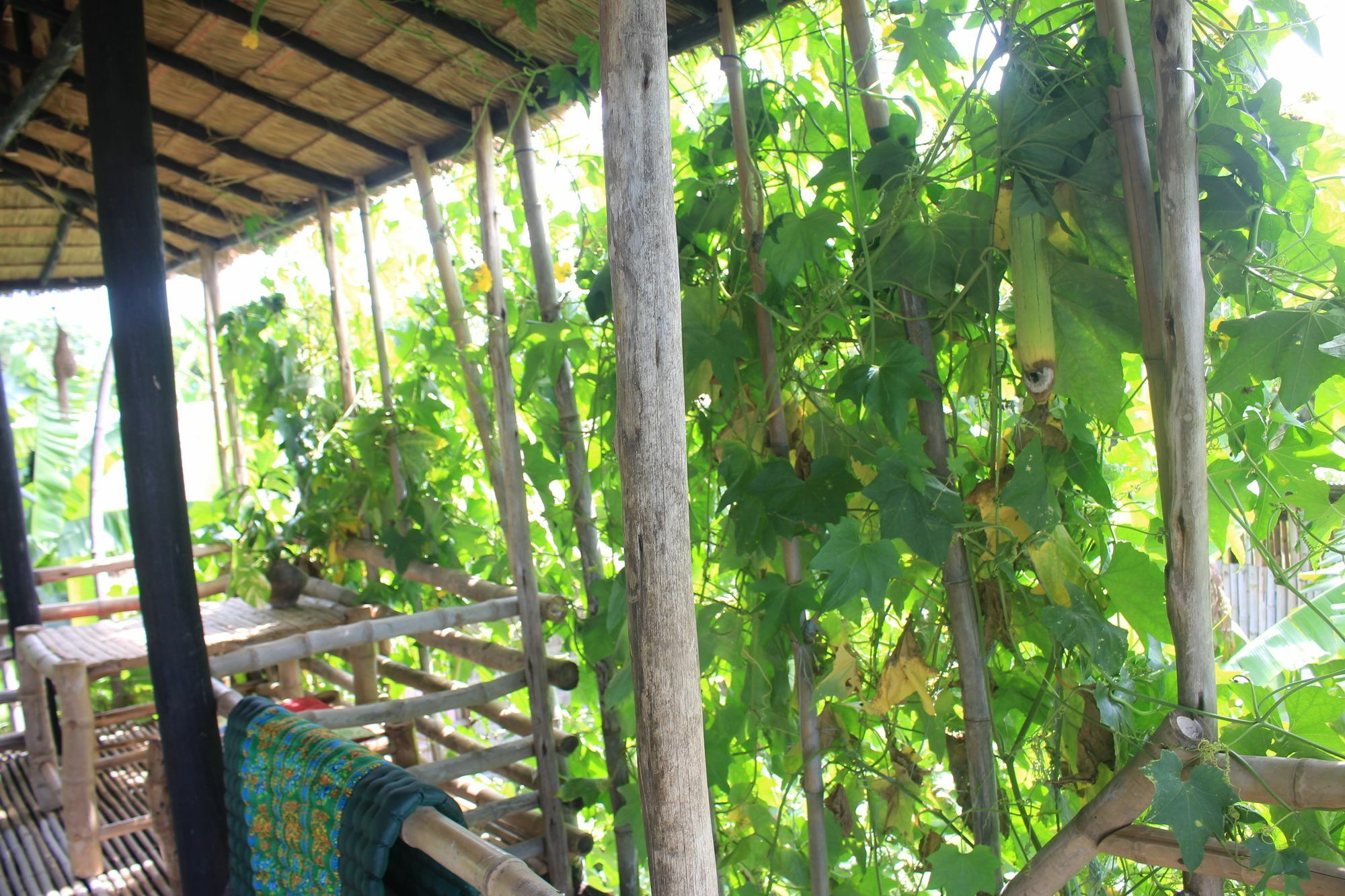 Battambang Dream Bungalows Dış mekan fotoğraf
